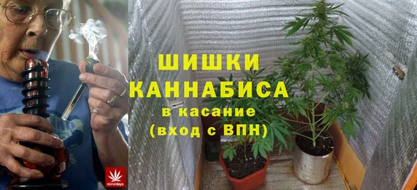 молекула духа Алзамай