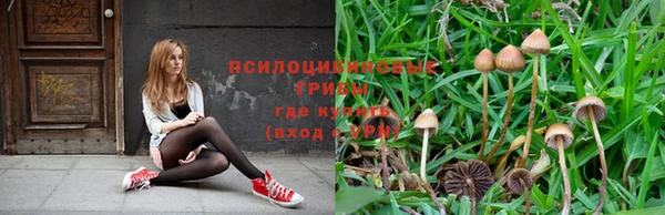молекула духа Алзамай